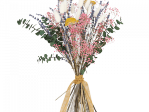 Dry Flower PNG Image HD