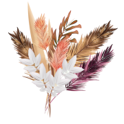 Dry Flower PNG Images HD
