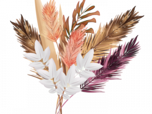 Dry Flower PNG Images HD