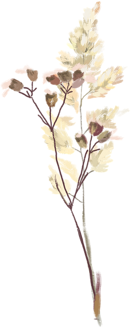 Dry Flower PNG Pic PNG All   Dry Flower PNG Pic 