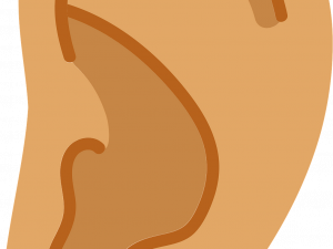 Ears PNG Cutout