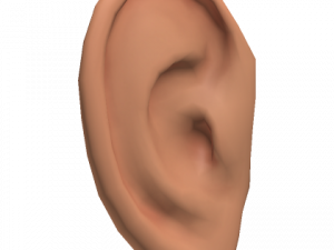 Ears PNG Images