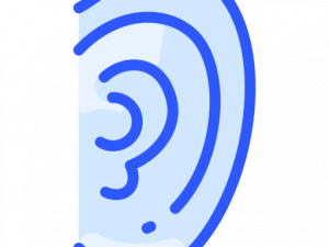 Ears PNG Photo