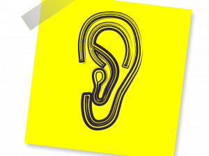 Ears PNG Photos