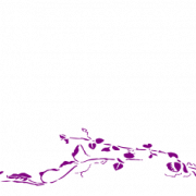Elegant Purple Flower Border Background PNG
