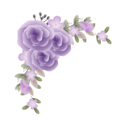 Elegant Purple Flower Border PNG