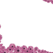 Elegant Purple Flower Border PNG Image File