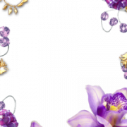 Elegant Purple Flower Border PNG Images