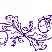 Elegant Purple Flower Border Transparent