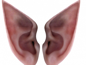 Elf Ear PNG