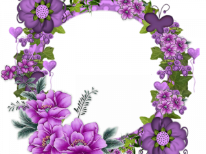 Encanto Flowers Background PNG