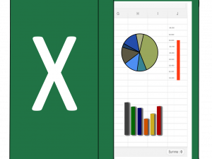 Excel PNG Image File