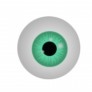Eye Ball PNG Cutout