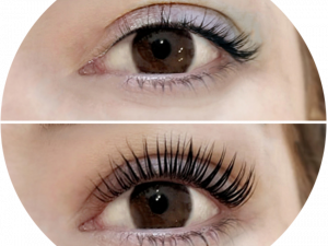 Eye Lash PNG Clipart