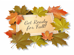 Fallen Leaves Background PNG