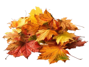 Fallen Leaves PNG Background