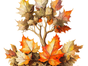 Fallen Leaves PNG Cutout