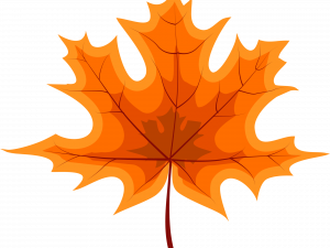 Fallen Leaves PNG File