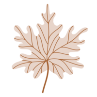 Fallen Leaves PNG Free Image