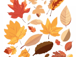 Fallen Leaves PNG Image HD