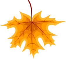 Fallen Leaves PNG Images HD