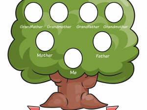 Family Tree Background PNG