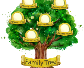 Family Tree PNG Free Image