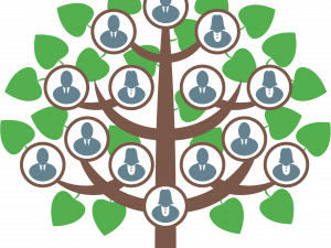 Family Tree PNG HD Image