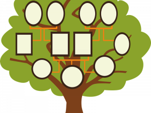 Family Tree PNG Images