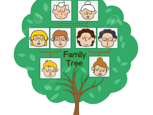 Family Tree Transparent