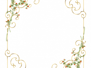 ornate frame, decorative border, floral design, vintage style, Fancy Border PNG