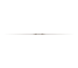 Fancy Line Background PNG