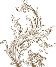 Filigree PNG