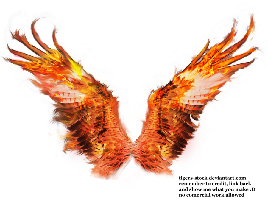 Fire Wings PNG Image HD