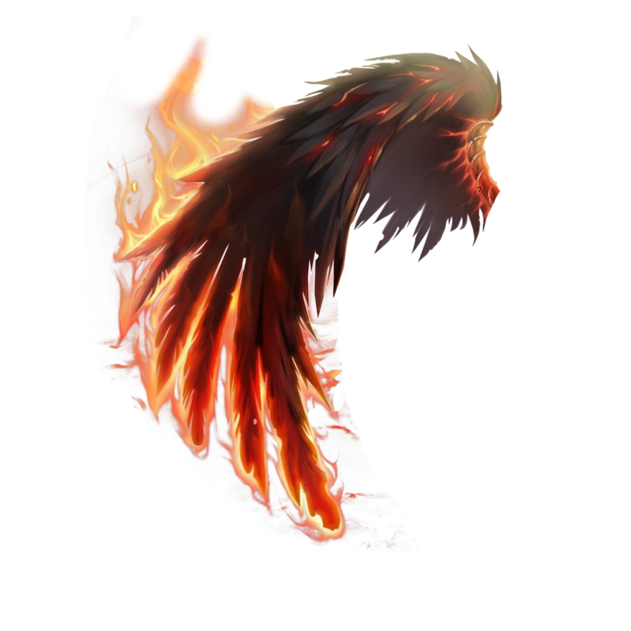 Fire Wings PNG Image