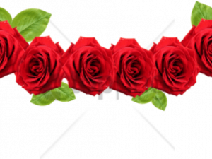 Flower Crown Background PNG