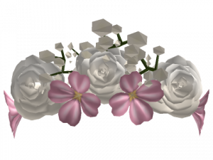 Flower Crown PNG