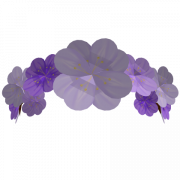 Flower Crown PNG Background