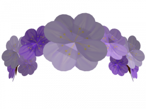 Flower Crown PNG Background