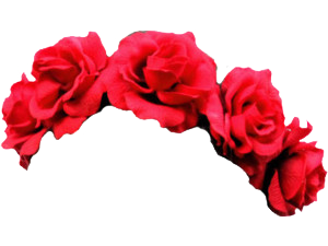 Flower Crown PNG Cutout