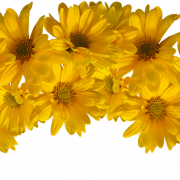 Flower Crown PNG Free Image