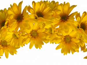 Flower Crown PNG Free Image