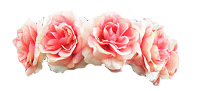 Flower Crown PNG HD Image