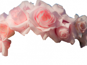 Flower Crown PNG Image