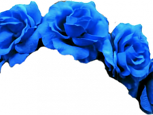 Flower Crown PNG Image File