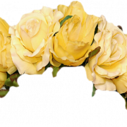 Flower Crown PNG Images HD