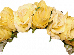 Flower Crown PNG Images HD