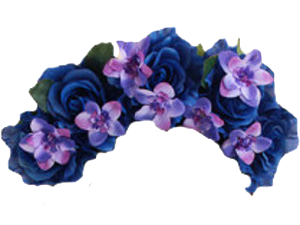 Flower Crown PNG Photo