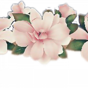 Flower Crown PNG Photos
