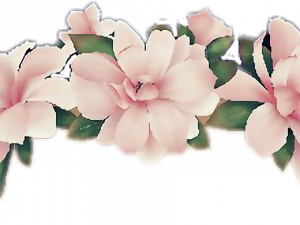 Flower Crown PNG Photos